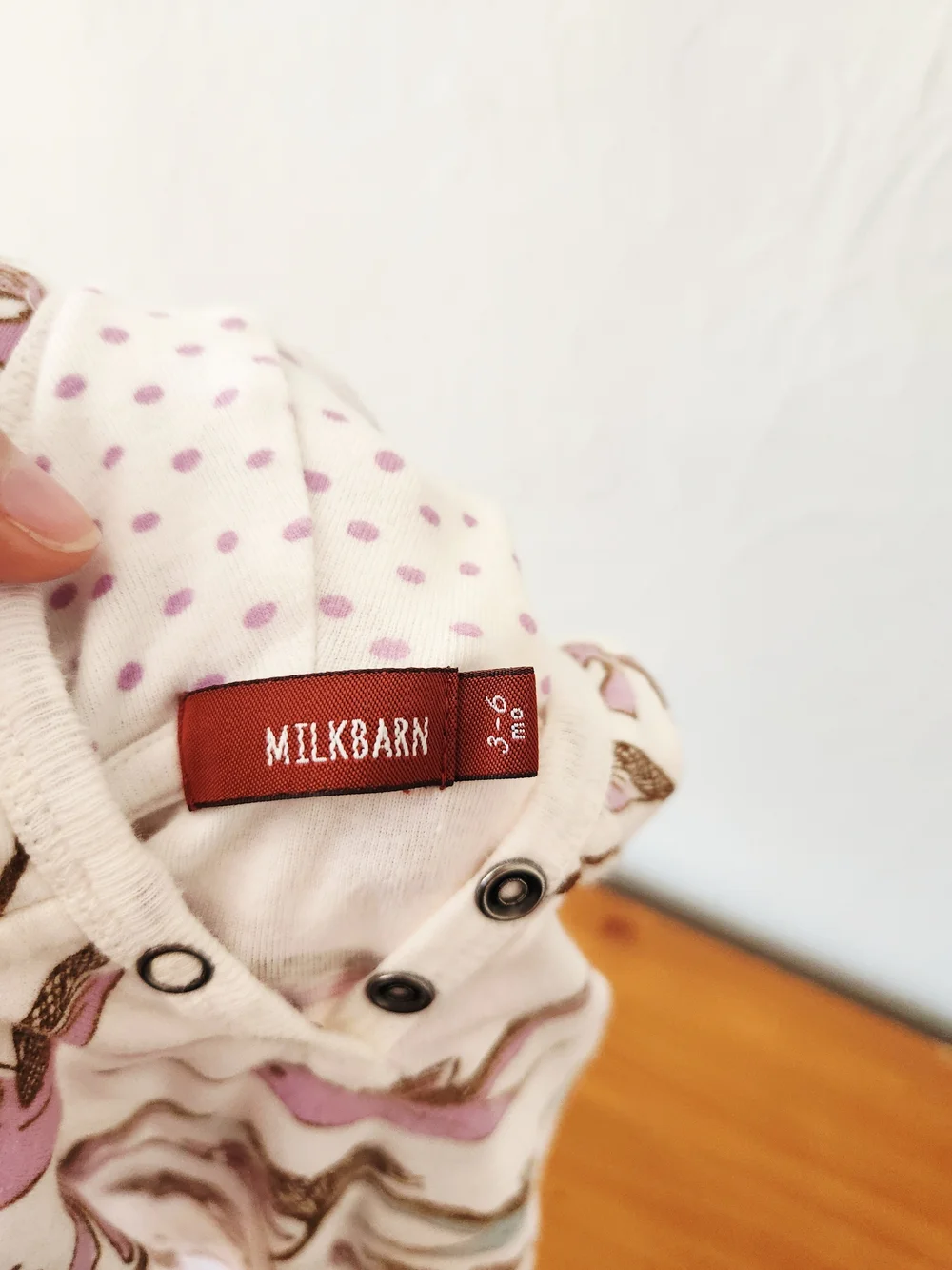 Milkbarn 3-6 Month Hooded One-Piece with Bird Print
